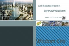 梅溪湖智慧城市